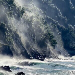 Meet your Posher, Anne